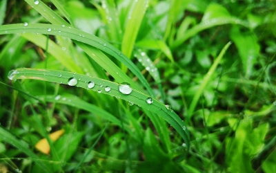 20190907Regenspaziergang11