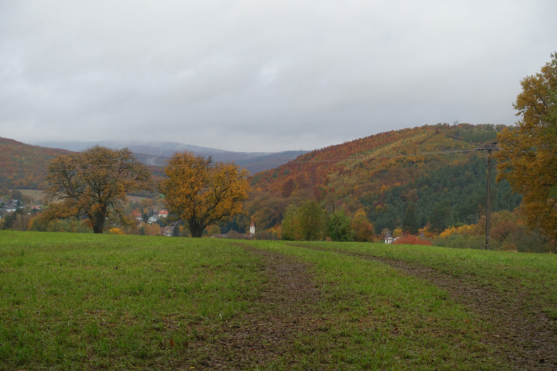 20201027WolfsgrabenTutGut08