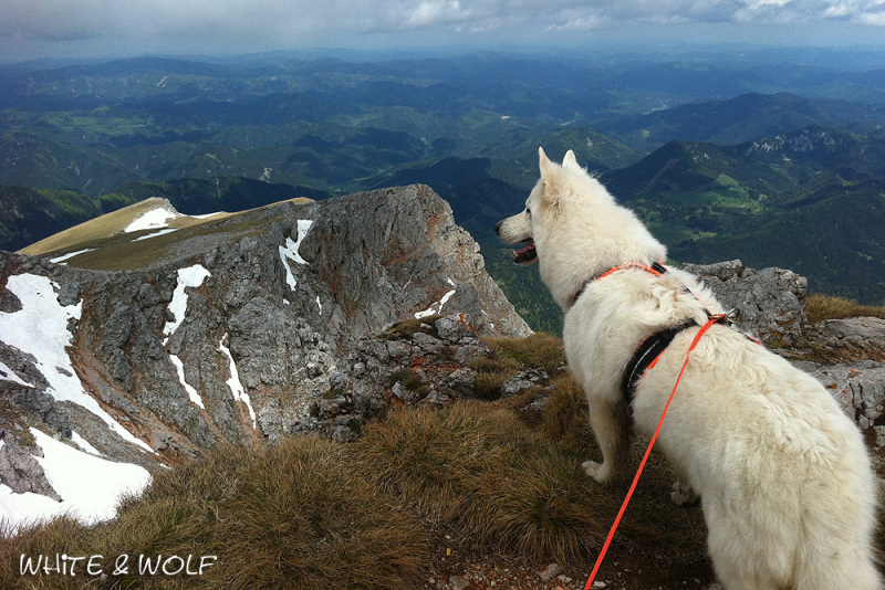 20140510SchneebergDH01